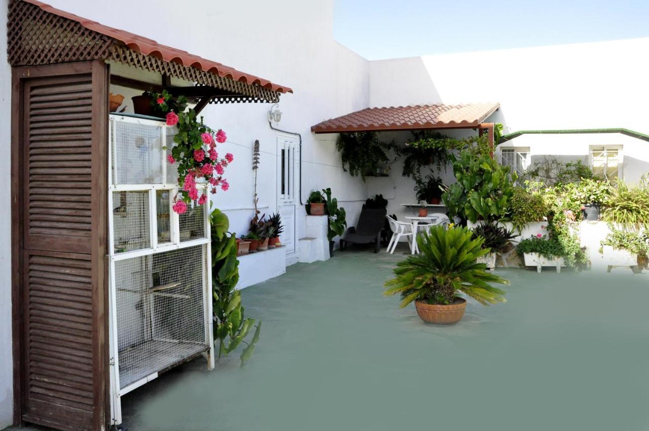 Apartamento Zona Rural Güimar Zewnętrze zdjęcie